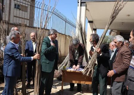 بیش از ۱۰۰هزار نهال رایگان بین مددجویان گیلانی توزیع شد