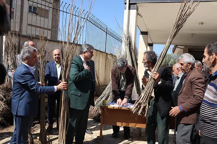 بیش از ۱۰۰هزار نهال رایگان بین مددجویان گیلانی توزیع شد