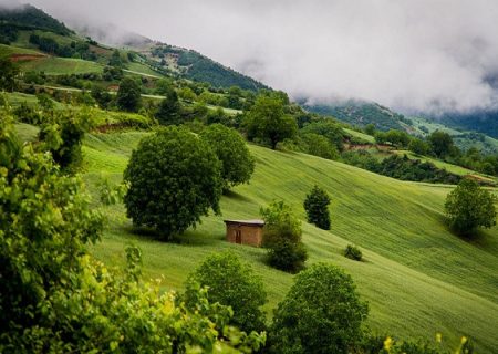 رفع تصرف بیش از ۱۶۰۰ متر مربع از مناطق چهارگانه در فومن