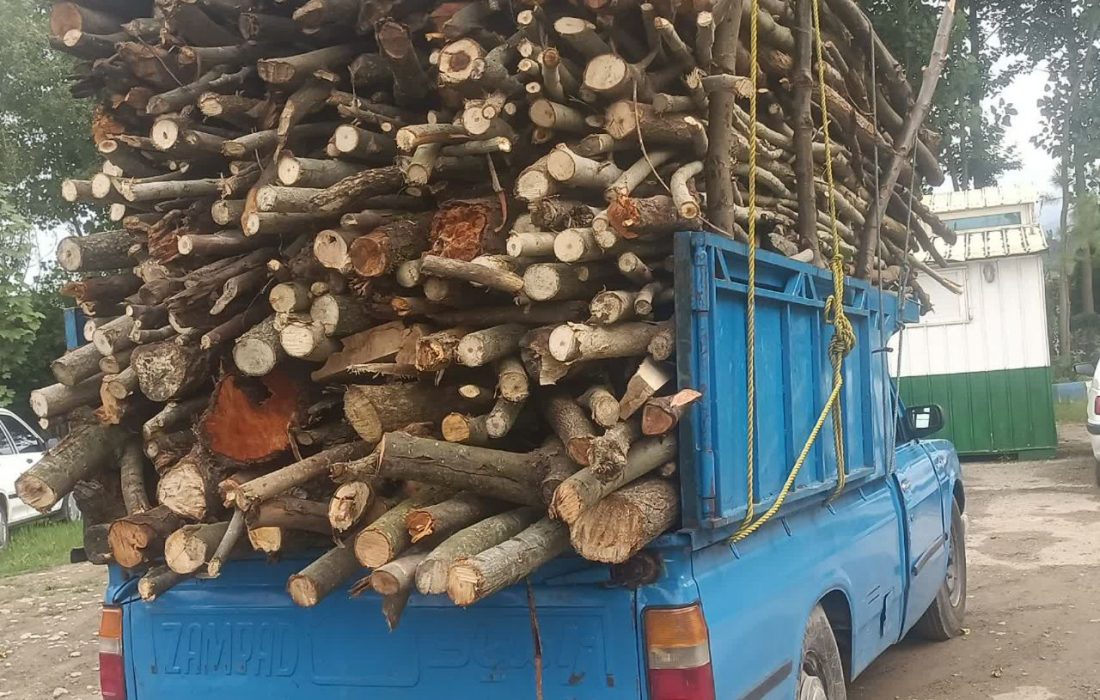 توقیف خودروهای حامل ۷ تن چوب قاچاق در ماسال