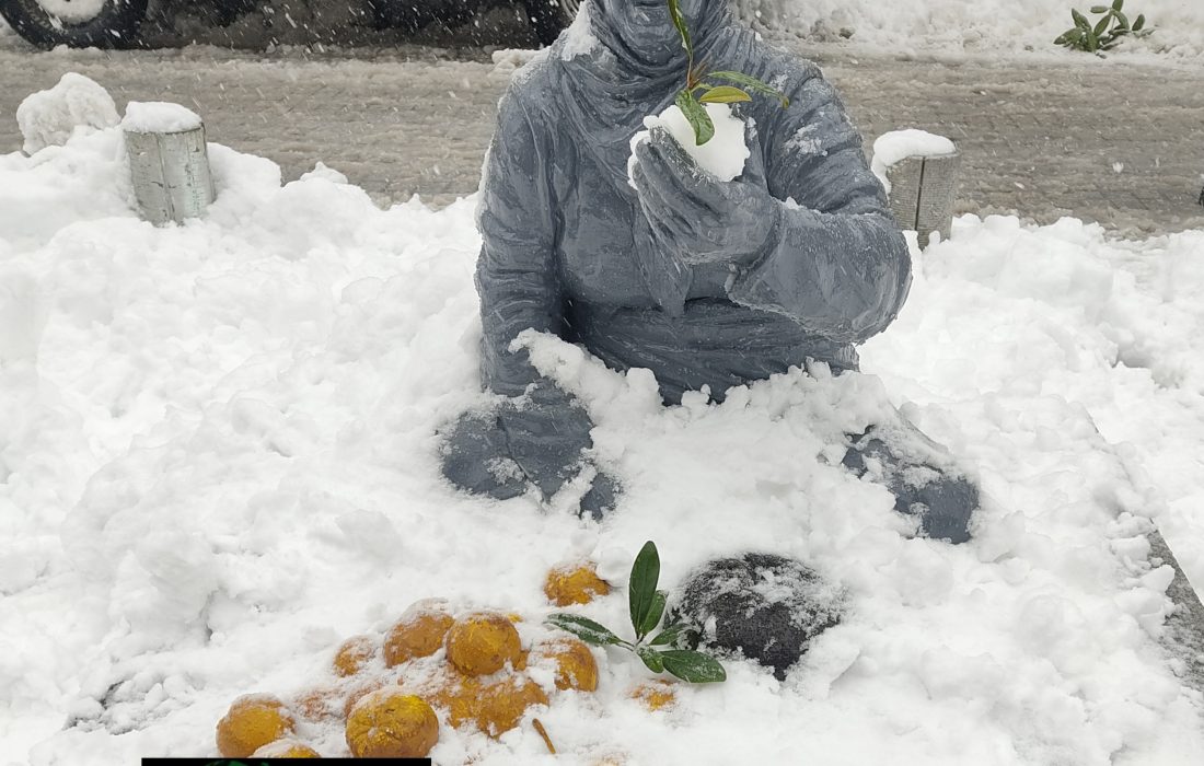 📷بارش زیبای برف در رشت