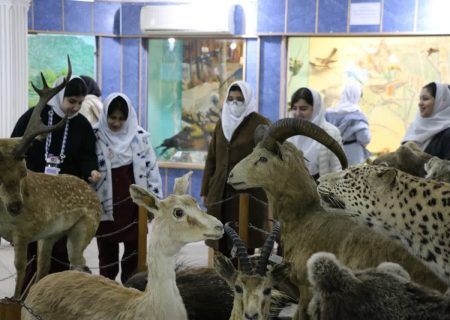 بازدید ۱۵۰۰ نفر به مناسبت ایام دهه فجر از موزه تاریخ طبیعی و تنوع زیستی گیلان