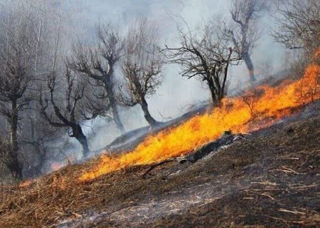 ممنوعیت افروختن آتش در جنگل‌ها و‌ مناطق تالابی گیلان