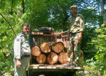 قاچاقچیان چوب در تالش دستگیر شد