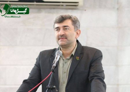 رشد ۴ درصدی انرژی تحویلی به مشترکان گیلانی