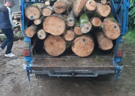 کشف چوب قاچاق در رحیم آباد گیلان
