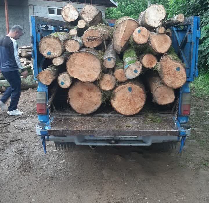 کشف چوب قاچاق در رحیم آباد گیلان