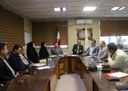 جمعیت سگ‌های ولگرد نیازمند کنترل فوری است