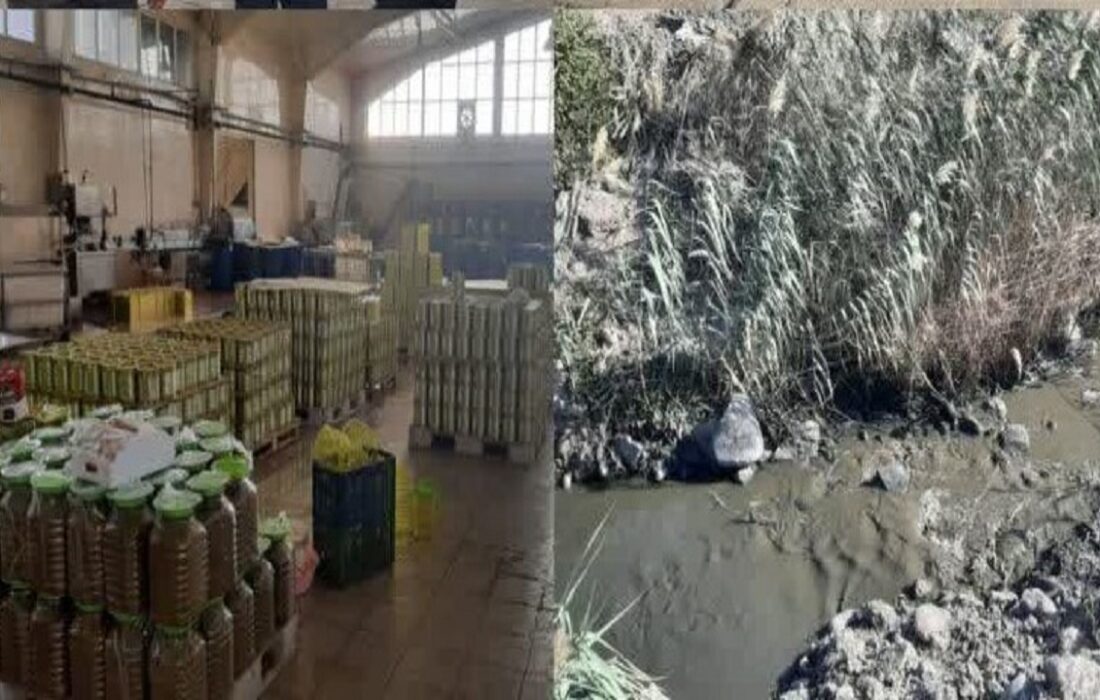 مشکلات زیستمحیطی کارخانههای زیتون منجیل