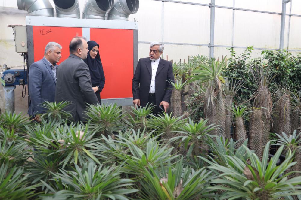 فرماندار شهرستان رشت از واحدهای صادراتی و تولیدی سنگر بازدید کرد