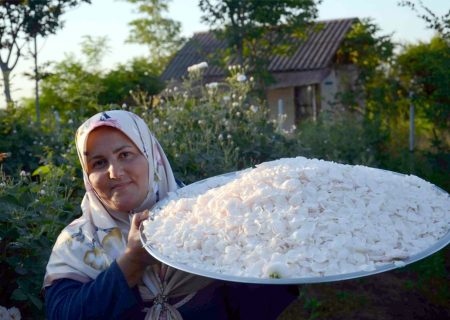 ثبت «گلاب گیری گیلده شفت» در فهرست میراث ناملموس کشور