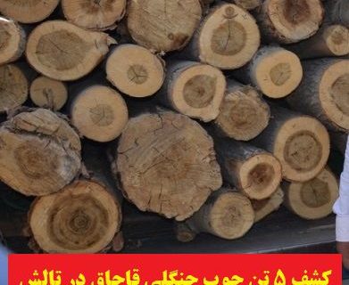 توقیف محموله ۵ تن چوب جنگلی قاچاق در تالش 