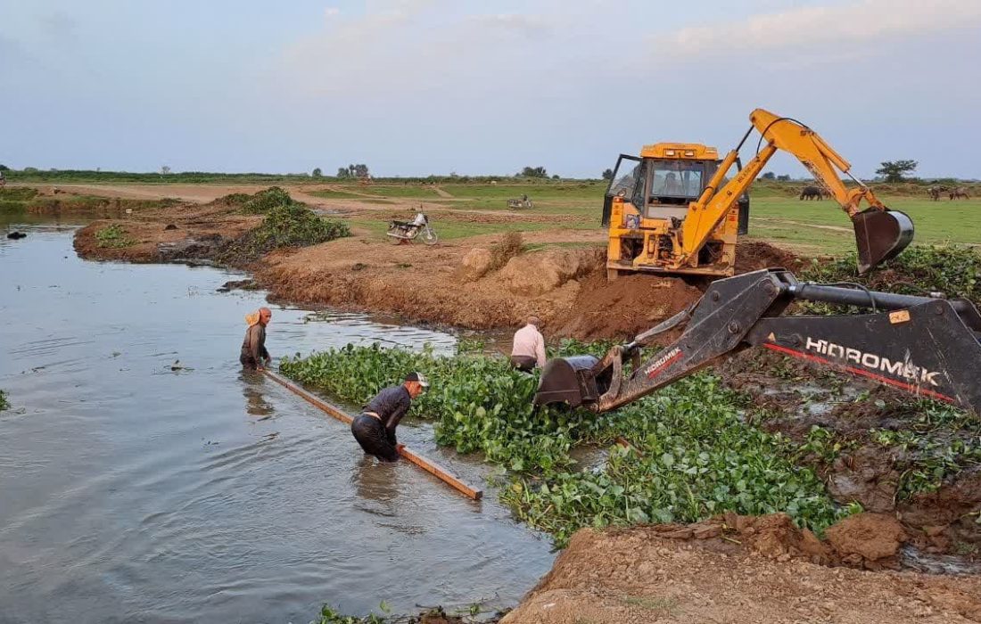 پاکسازی بیش از ۵ هکتار از تالاب انزلی در ۳ روستای صومعه‌سرا از سنبل آبی