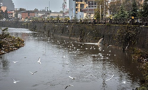 زنگ خطر آلودگی آب گیلان