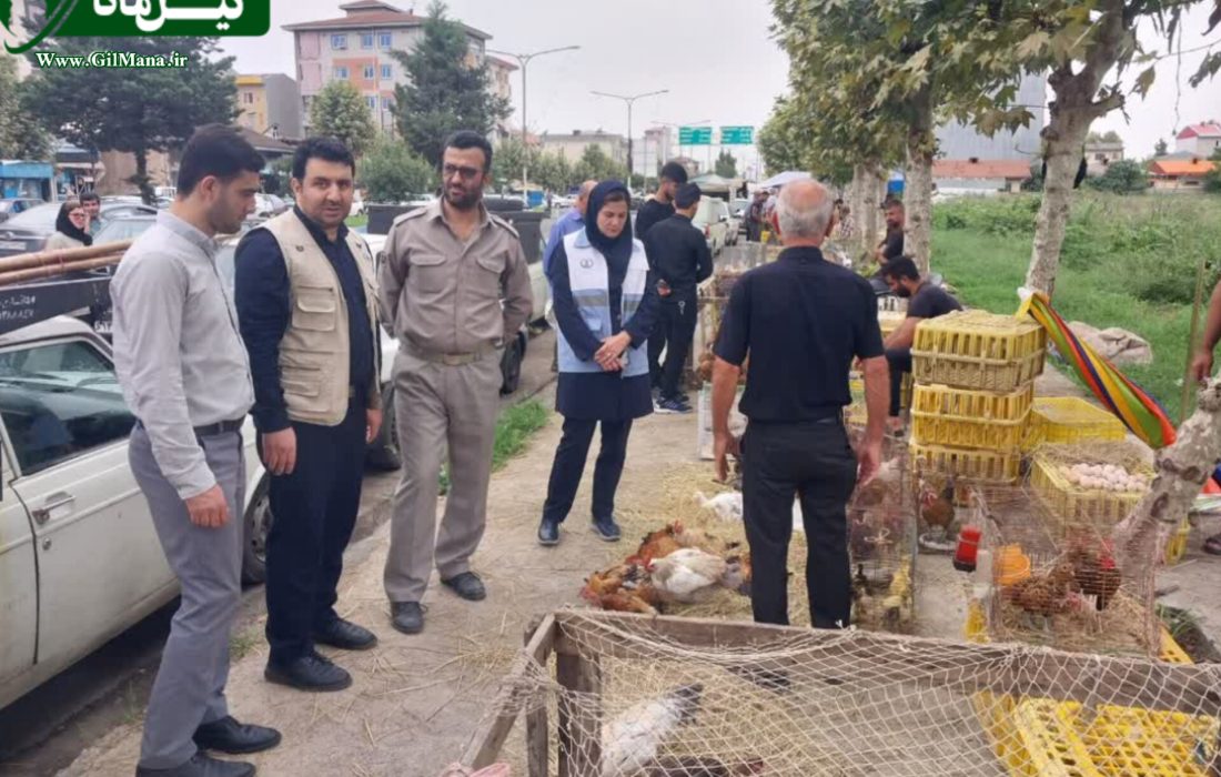 پایش بازارهای محلی شهرستان شفت در برابر آنفلوآنزای پرندگان