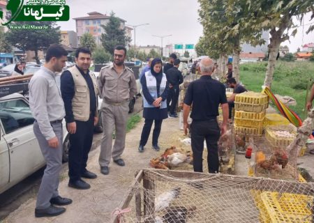 پایش بازارهای محلی شهرستان شفت در برابر آنفلوآنزای پرندگان