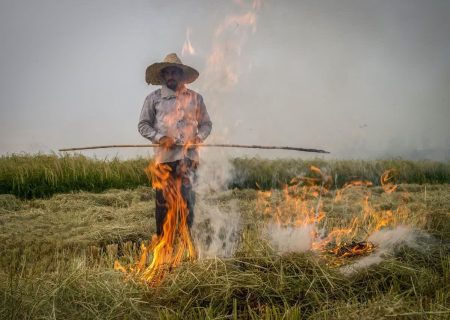 آغاز گشت مشترک برای جلوگیری از آتش زدن کاه کلش در مزارع املش