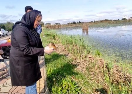 کشف و رهاسازی  ۱۳ پرنده مهاجر از فروشندگان غیرمجاز در لنگرود