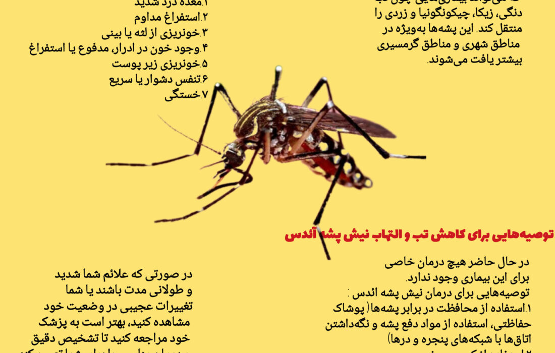 اینفوگرافیک| پشه آئدس