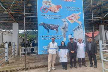 آمادگی ۵۱ اکیپ دامپزشکی گیلان برای نظارت بر کشتارگاه‌‌ها در عید قربان