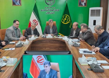 ضرورت بیمه اجباری برای برنج‌کاران و دامداران گیلانی