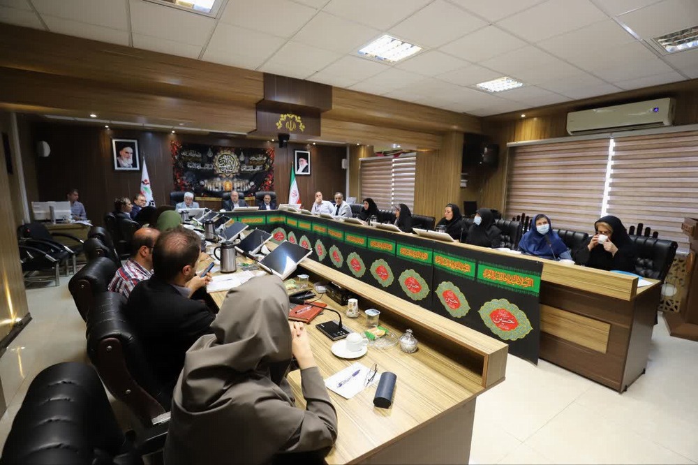 آغاز هم افزایی‌ها برای ایجاد شهر دوستدار سالمند در رشت با مشارکت دستگاه‌های متولی