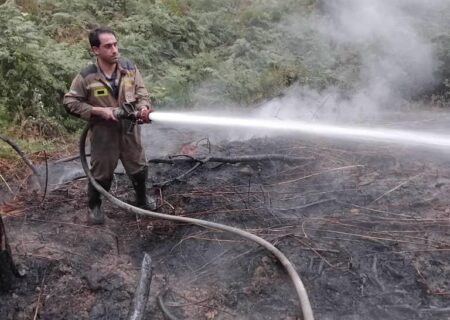 مهار آتش‌سوزی مهیب جنگل کاج لاکان رشت پس از ۷ ساعت