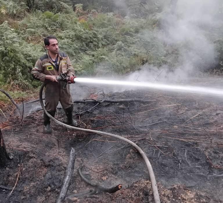 مهار آتشسوزی مهیب جنگل کاج لاکان رشت پس از ۷ ساعت