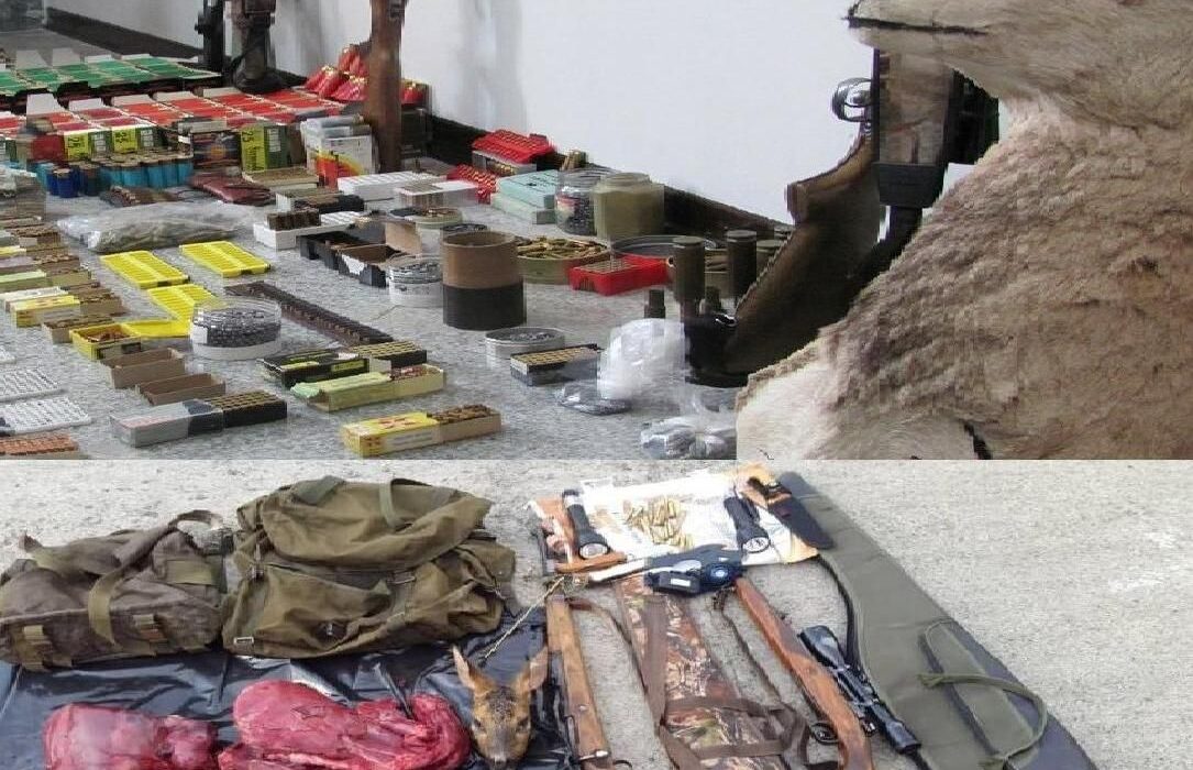 کشف ۶۲۸ فقره صید و شکار غیر مجاز در گیلان