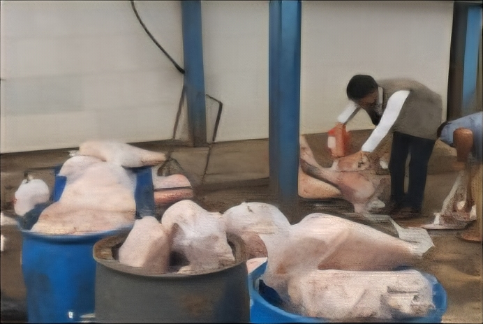 معدوم سازی بیش از ۸۰۰ کیلوگرم فرآورده خام دامی غیر بهداشتی در سیاهکل