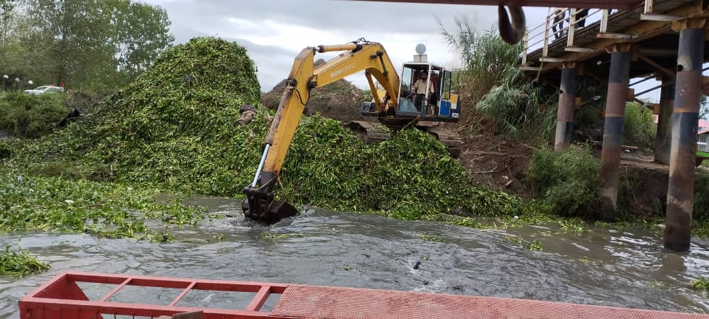 پاکسازی مسیر زیر پل نهنگ روگا پس از انسداد ناشی از تجمع سنبل آبی در تالاب انزلی