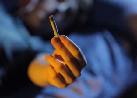 از لذت لحظه‌ای تا افت کیفیت زندگی با مصرف مخدرهای گیاهی