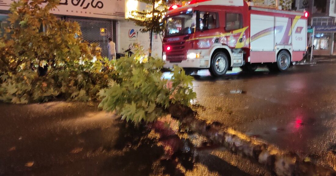 سقوط درخت در خیابان تختی رشت خسارت جانی و مالی نداشت