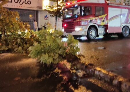 سقوط درخت در خیابان تختی رشت خسارت جانی و مالی نداشت 