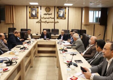 مدیرکل صمت گیلان عنوان کرد؛ تشکیل بیش از ۵ هزار پرونده تخلف در گیلان