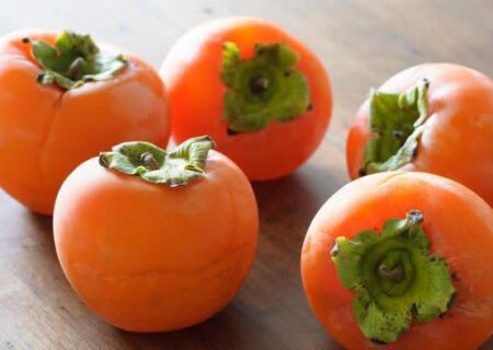 خرمالوی گیلان؛ از پیش بینی برداشت ۲۹۰۰ تنی تا مبارزه غیرشیمیایی با مگس میوه