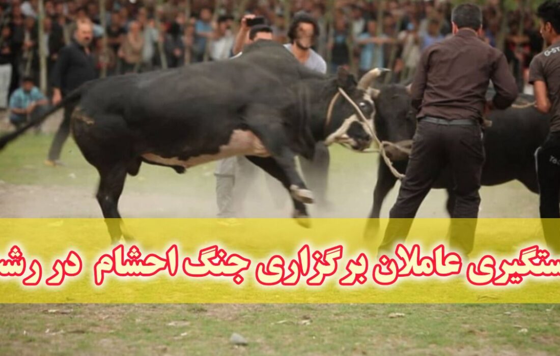 برخورد با عاملان برگزار کننده جنگ احشام در بخش سنگر