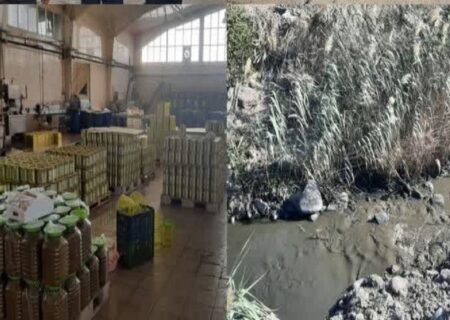 مشکلات زیست‌محیطی کارخانه‌های زیتون منجیل