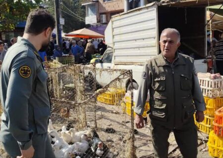 چتر حفاظت محیط زیست بر فراز بازار محلی املش؛ پایانی برای زنده فروشی پرندگان وحشی