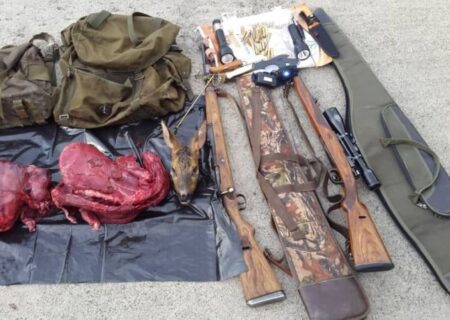 کشف ۶۵۴ فقره صید و شکار غیر مجاز در گیلان