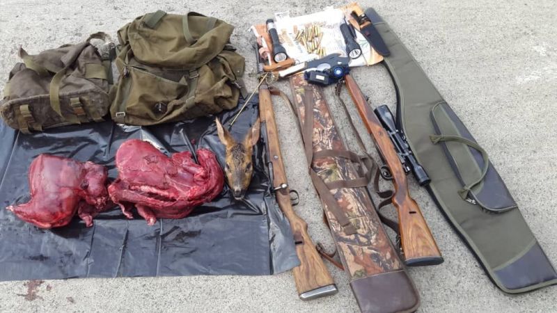 کشف ۶۵۴ فقره صید و شکار غیر مجاز در گیلان