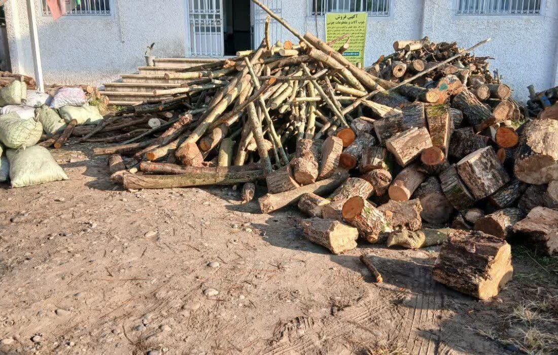 هشدار دادستان رودسر به قاچاقچیان چوب
