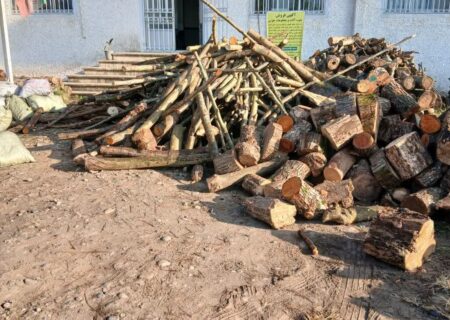 هشدار دادستان رودسر به قاچاقچیان چوب