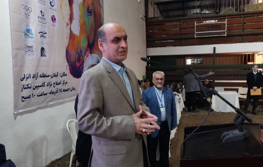 اسب کاسپین می‌تواند برند بین‌المللی گیلان شود