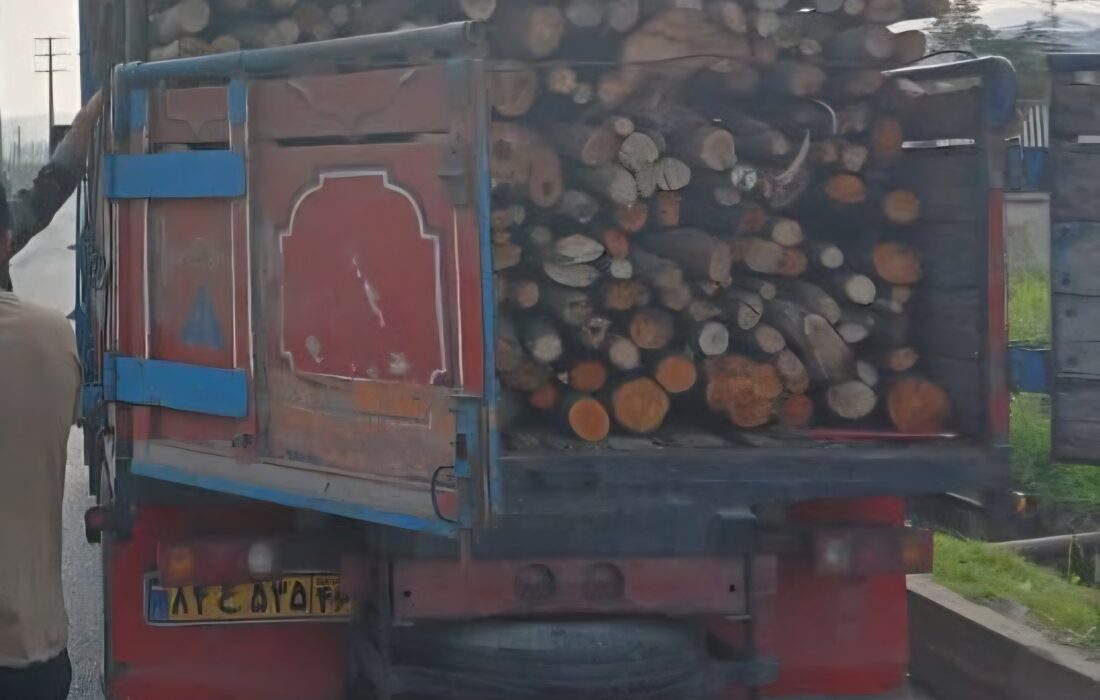 اجرای طرح مقابله با قاچاق چوب و فرآوردههای جنگلی در گیلان