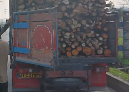 اجرای طرح مقابله با قاچاق چوب و فرآورده‌های جنگلی در گیلان 