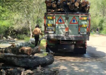 توقیف ۲۷ تن چوب قاچاق در سیاهکل