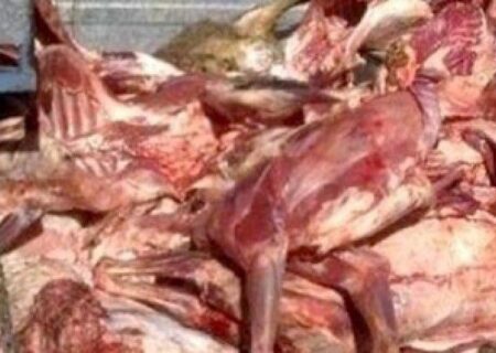 توقیف خودرو حامل گوشت فاقدمجوز در رودبار