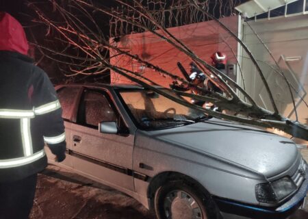 تدابیر پیشگیرانه برای مقابله با حوادث ناشی از باد شدید در رشت