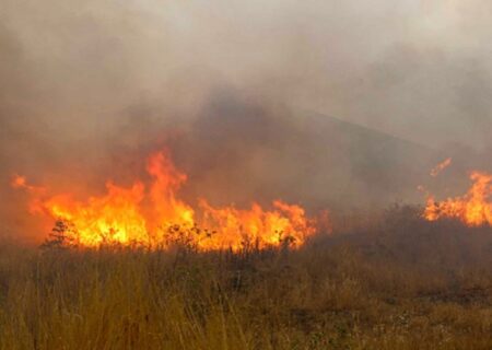 چند ساعت پس از وزش باد گرم؛ علفزارهای رشت یکی پس از دیگری می‌سوزند